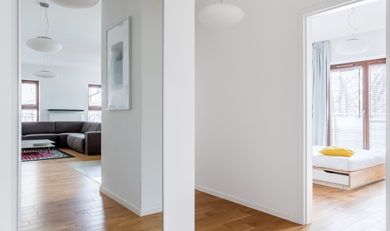 Hall in modern apartment with big mirror and passage to the rooms